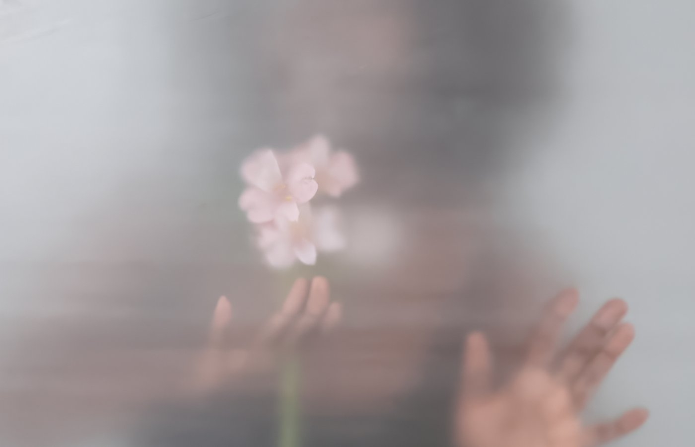 Grief, Adoption, and the Losses No One Names